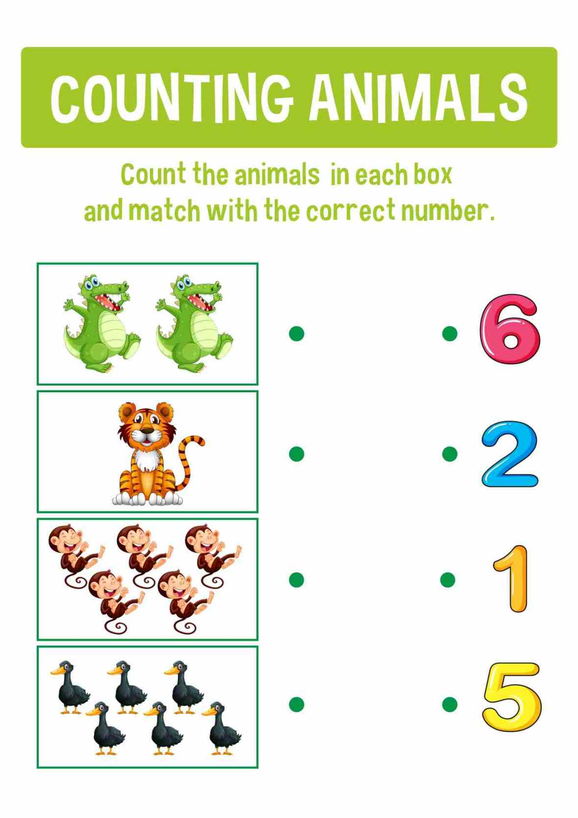 Count & Discover