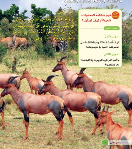 ممالك المخلوقات الحية الصف الخامس الإبتدائي